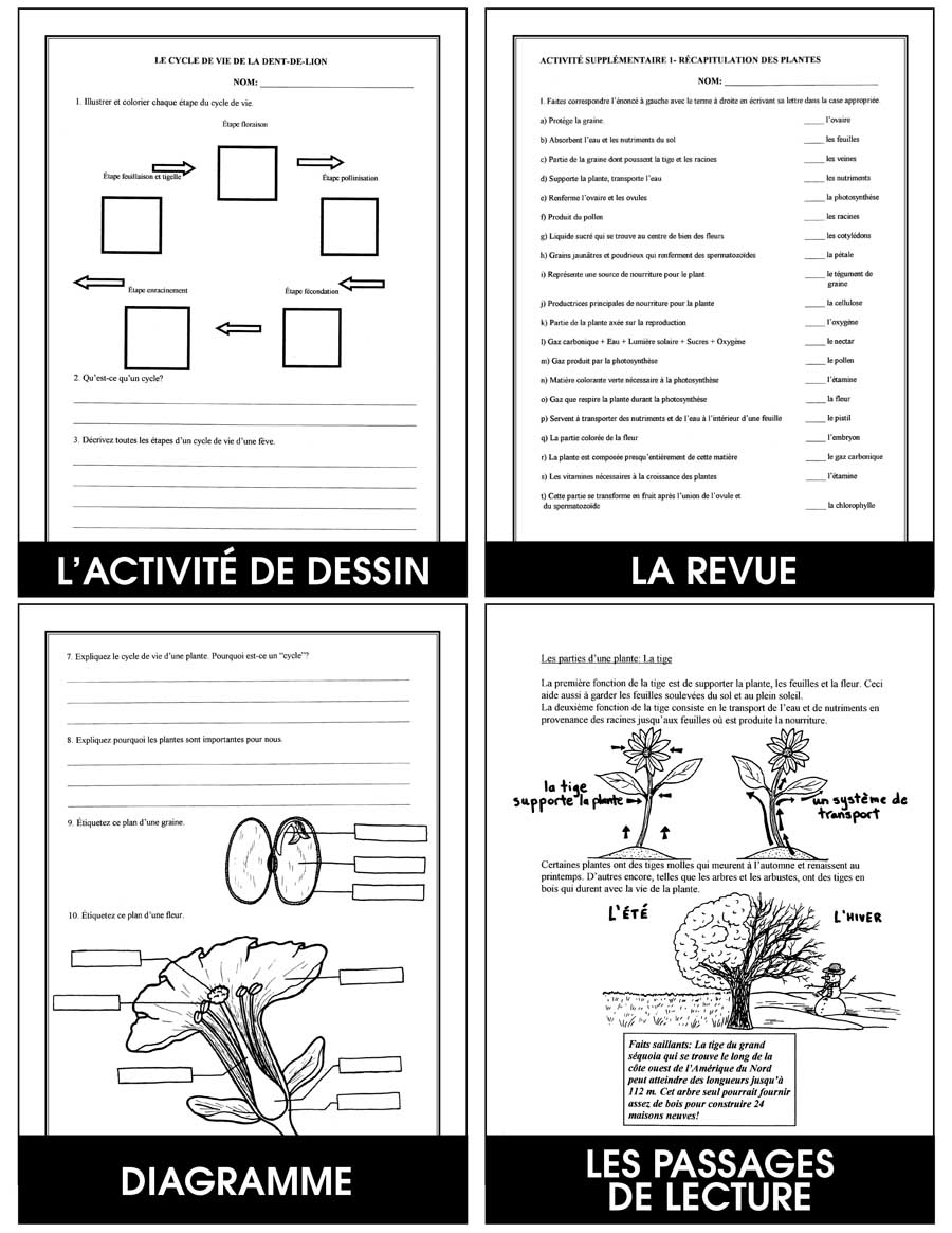 Les Plantes Gr. 4-5 - print book