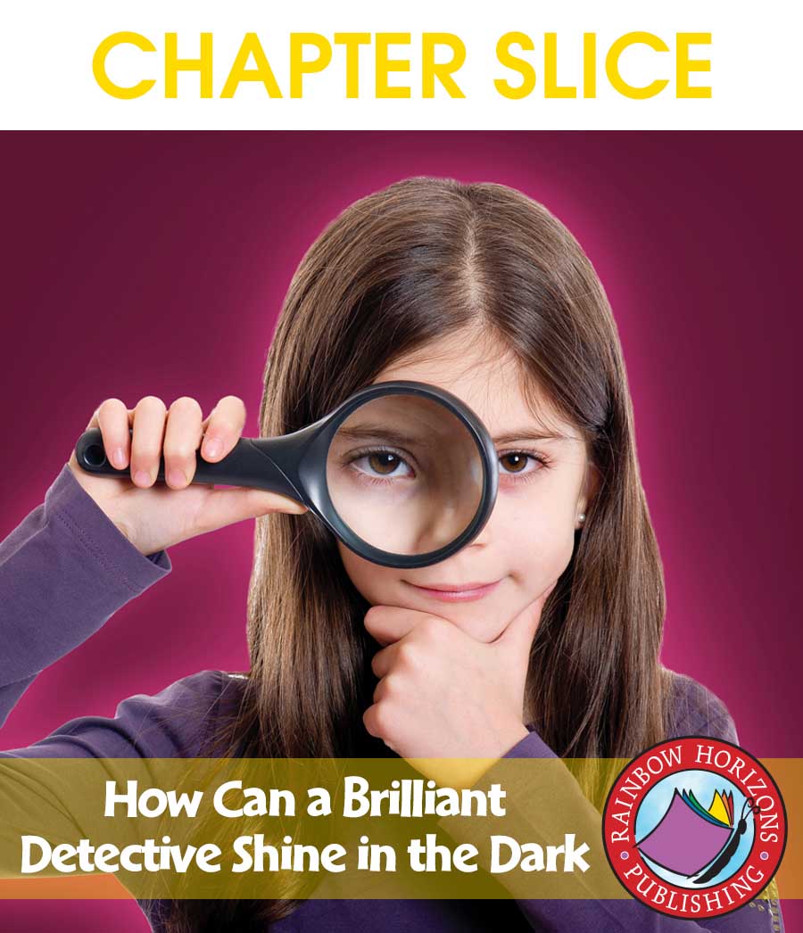 How Can a Brilliant Detective Shine in the Dark? (Novel Study) Gr. 4-7 - CHAPTER SLICE - eBook