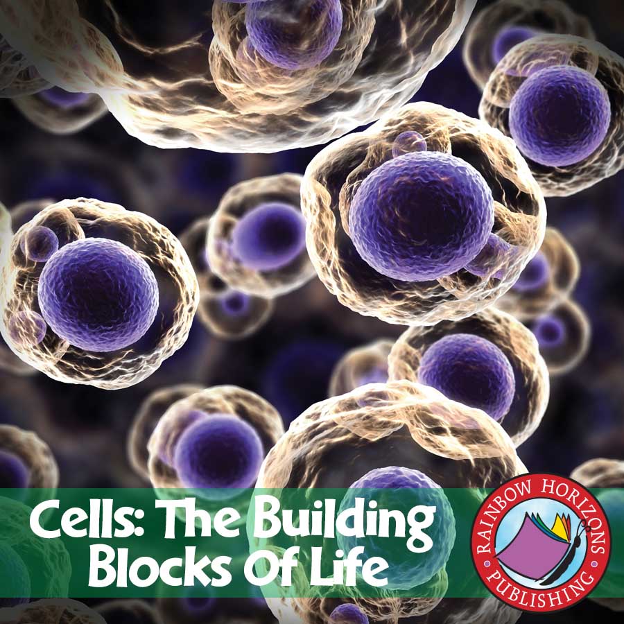 Cells The Building Blocks Of Life Grades 7 To 8 EBook Lesson 