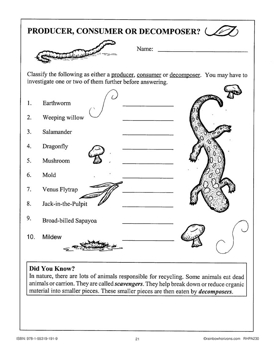 Habitats & Communities: Producer, Consumer or Decomposer In Producers And Consumers Worksheet