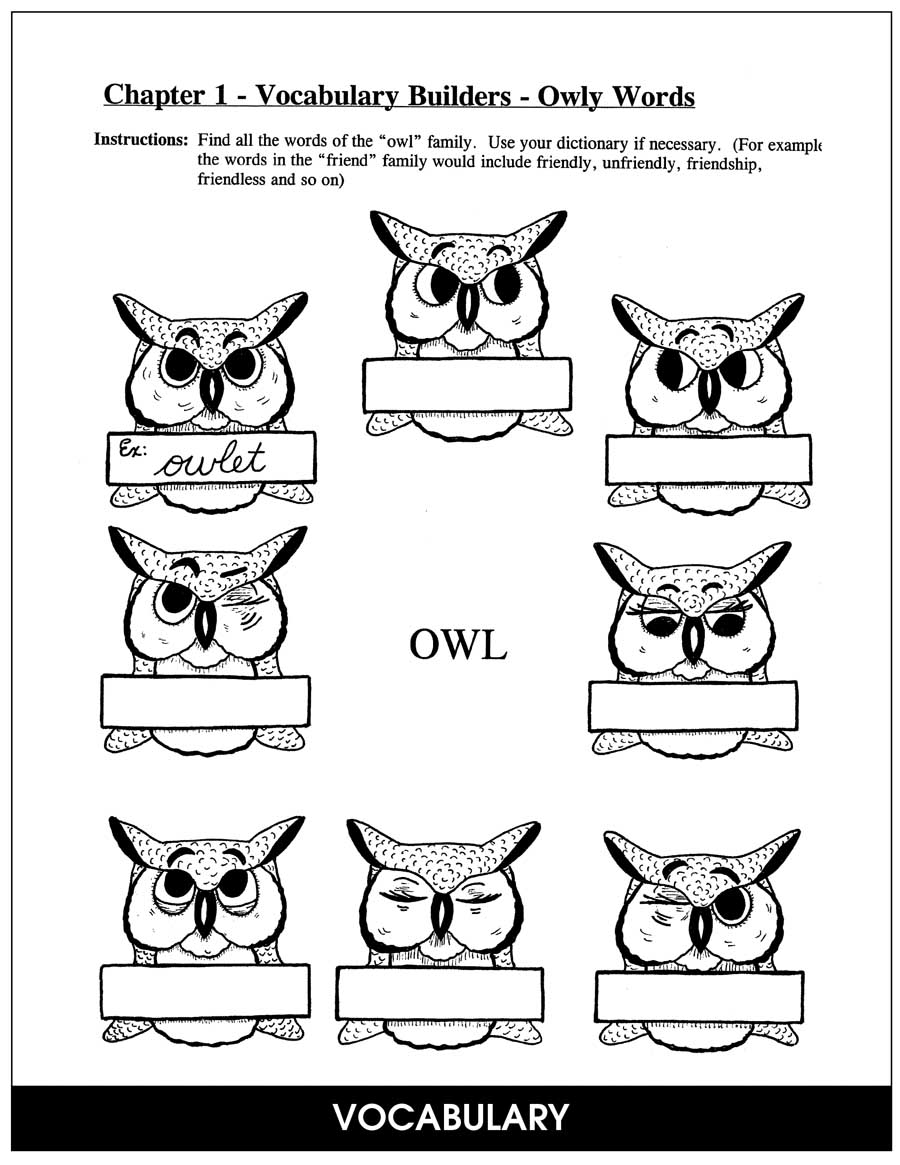 Owls In The Family (Novel Study) Gr. 4-7 - CHAPTER SLICE - eBook