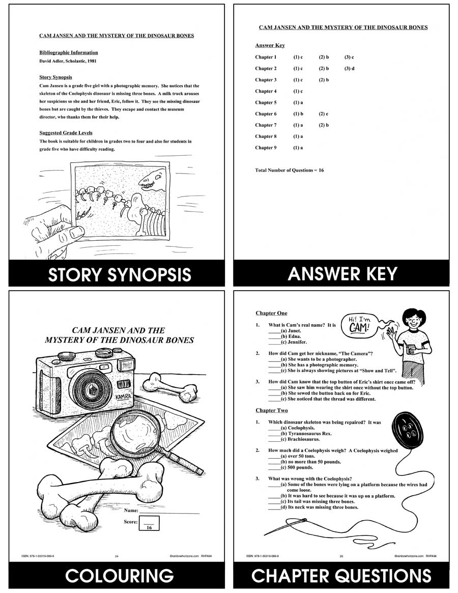 Reading Comprehension Through Novel Studies Gr. 2-5 - CHAPTER SLICE - eBook