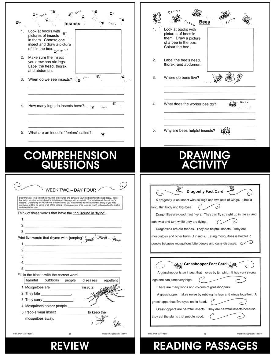 Download 61+ Lesson Plans Iridescent Insects Lesson Plan Coloring Pages