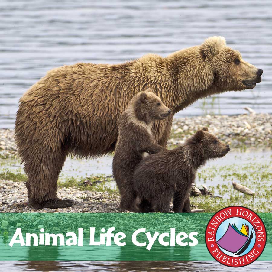 Animal Life Cycles Gr. 2-3 - eBook