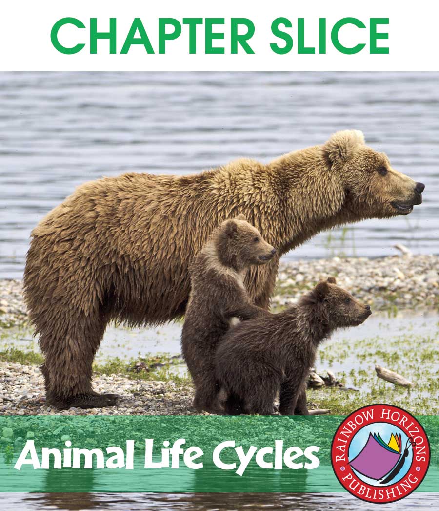 Animal Life Cycles Gr. 2-3 - CHAPTER SLICE - eBook