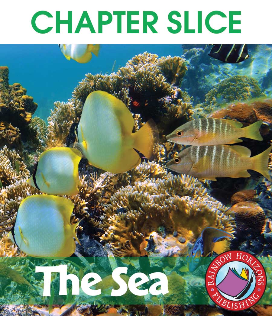 The Sea Gr. K-1 - CHAPTER SLICE - eBook