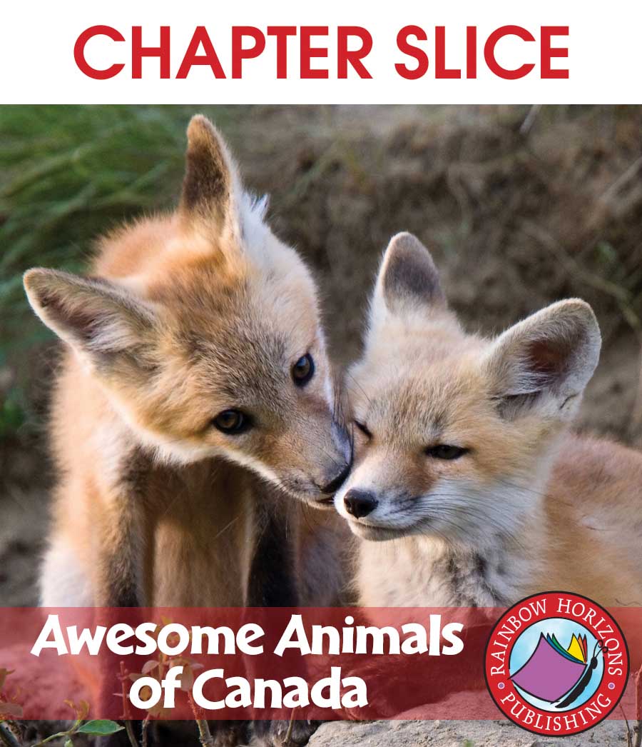 Awesome Animals of Canada Gr. 2-3 - CHAPTER SLICE - eBook