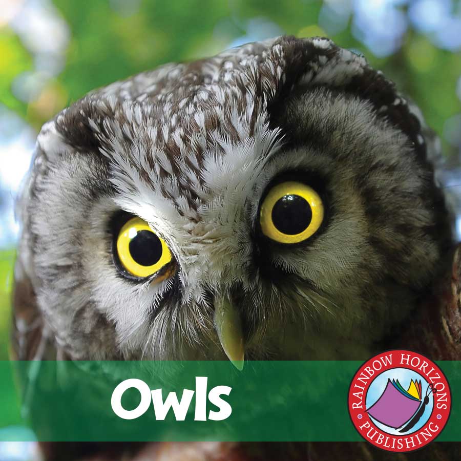 Owls   Gr. 2-6 - eBook