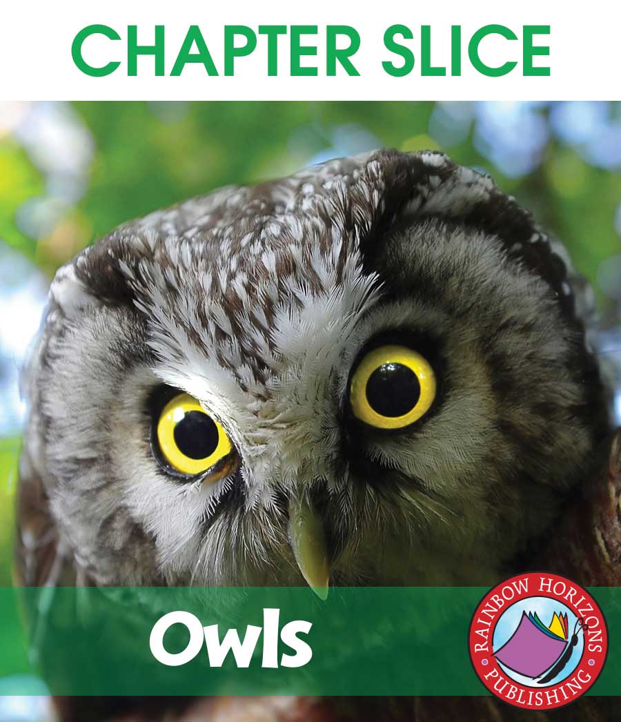 Owls Gr. 2-6 - CHAPTER SLICE - eBook