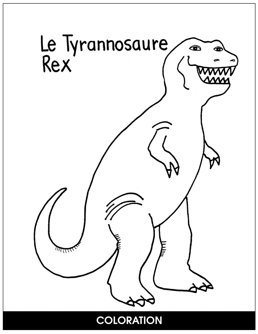 As Tu Dis Dinosaures? Gr. K-1 - CHAPTER SLICE - eBook