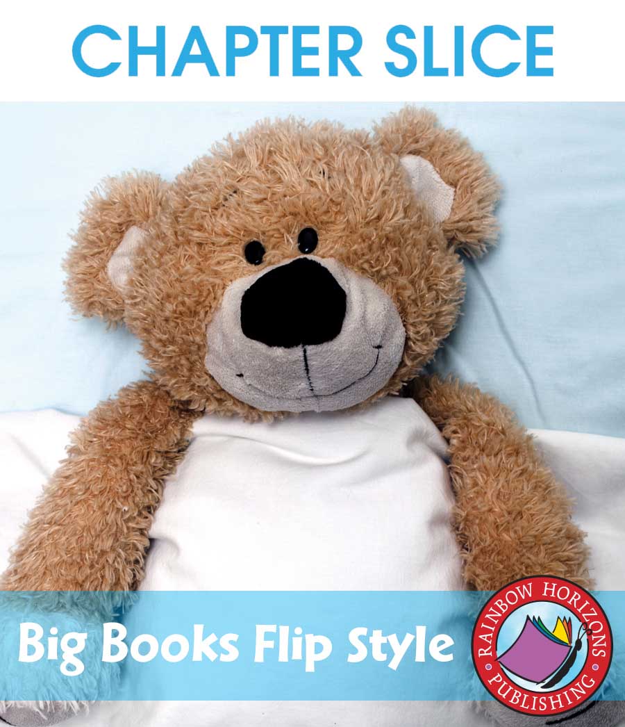 Big Books: Flip Style Gr. K-1 - CHAPTER SLICE - eBook