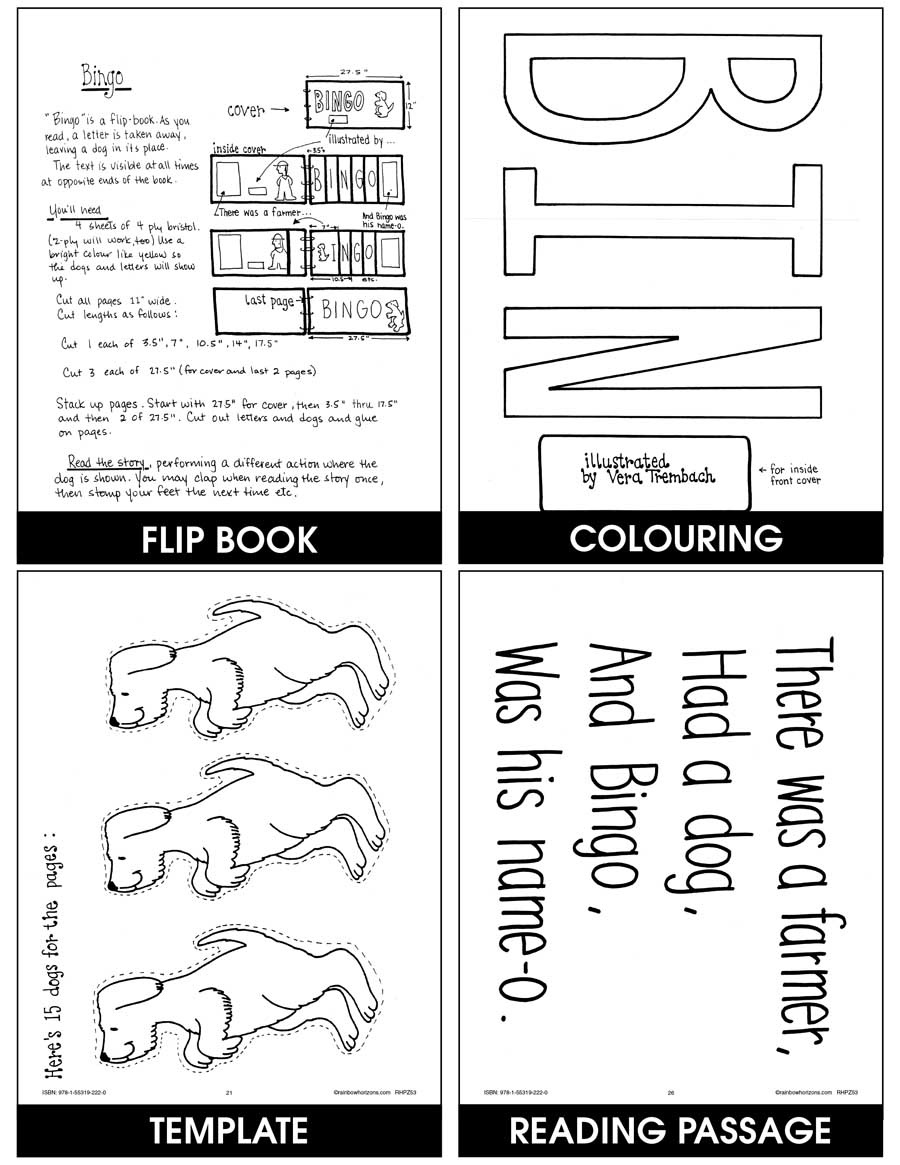 Big Books: Flip Style Gr. K-1 - CHAPTER SLICE - eBook