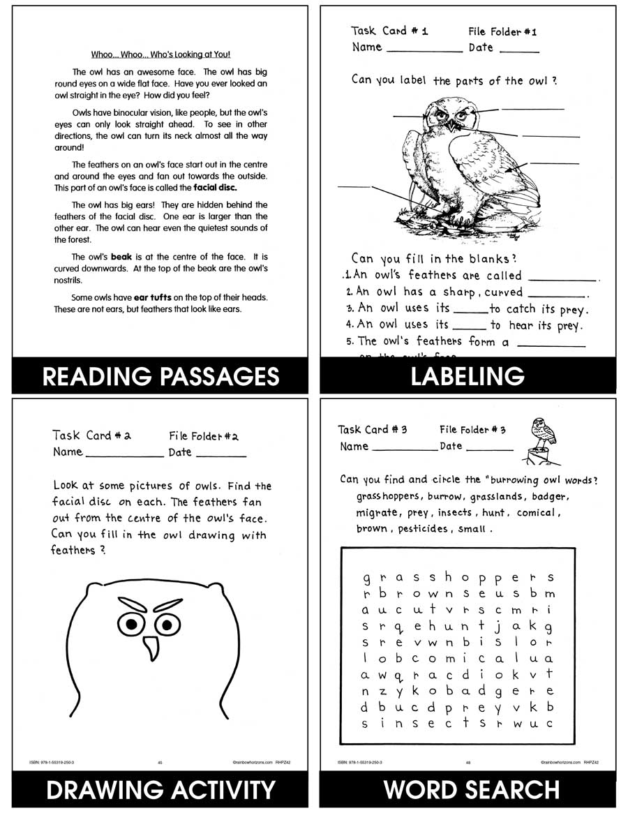 Owls Gr. 2-6 - print book